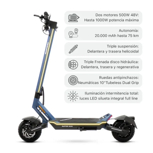 Smartgyro Raptor Dual Evo LR