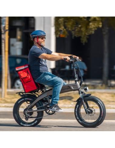 BICICLETA ELÉCTRICA SMARTGYRO EBIKE RHINO - Imagen 3