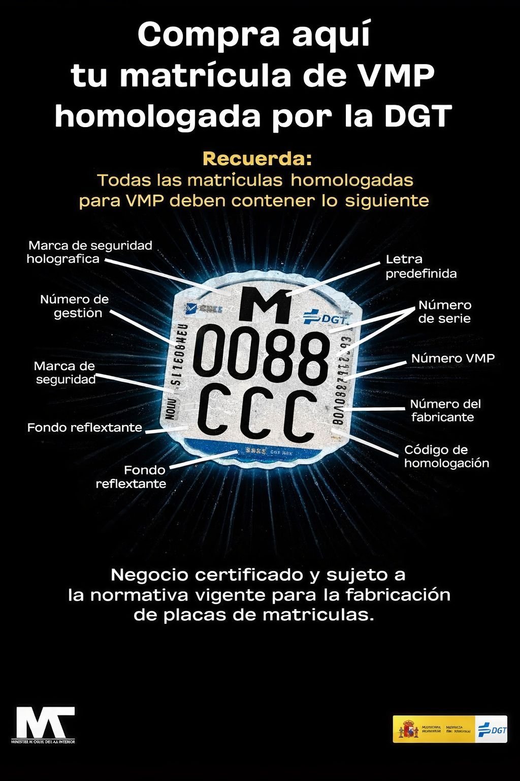 Matricula homologada VMP DGT - Imagen 2