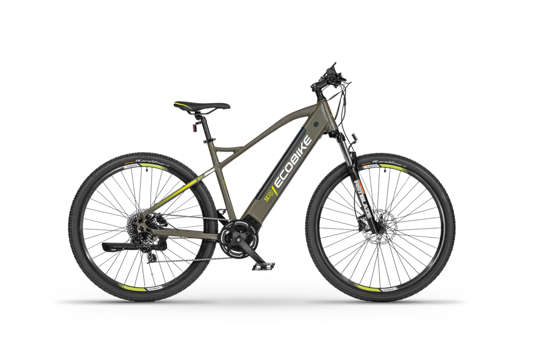 Ecobike SX300 Green